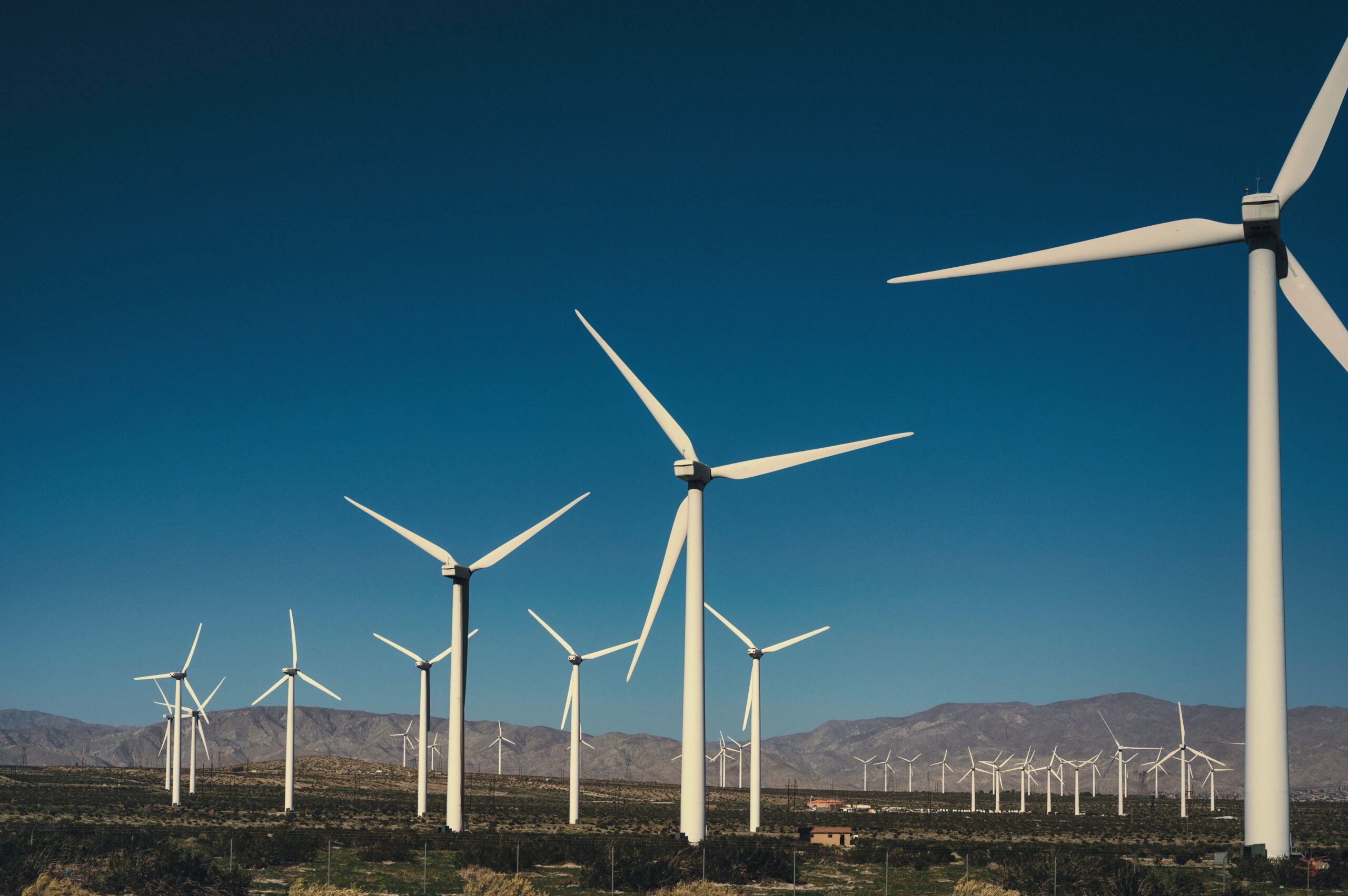 A field of wind turbines